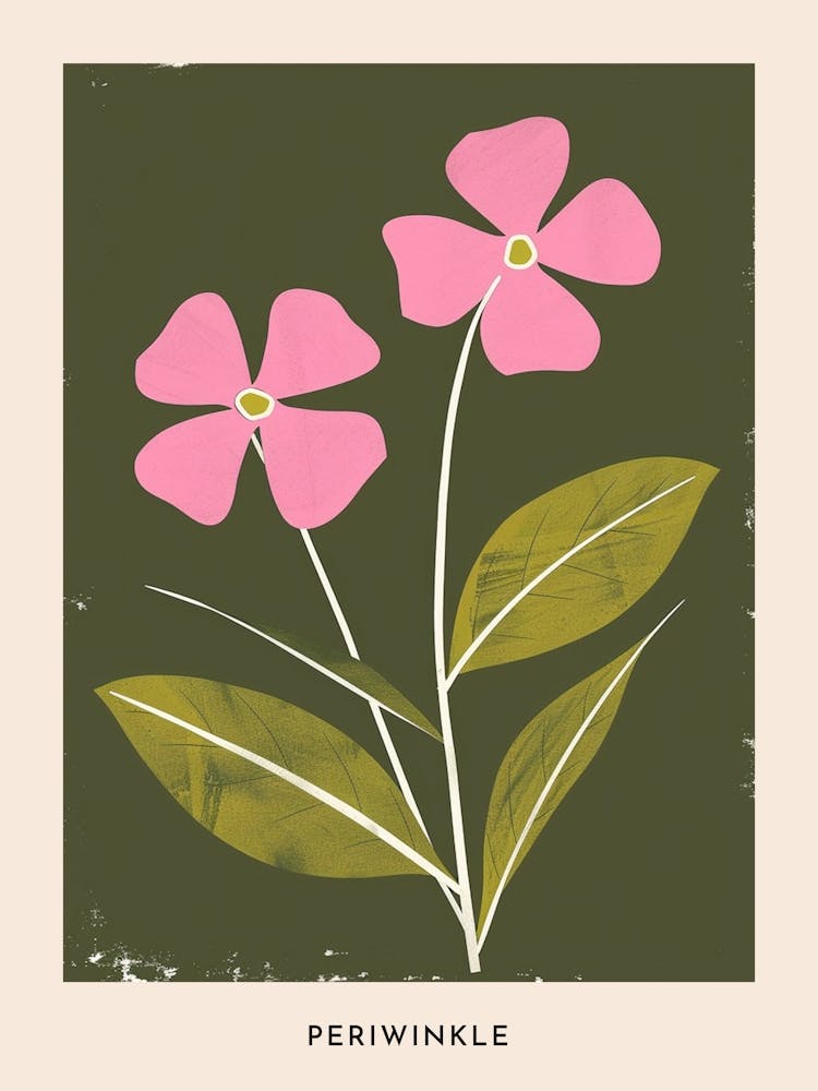 Pink & Green Periwinkle 1 Flower Poster