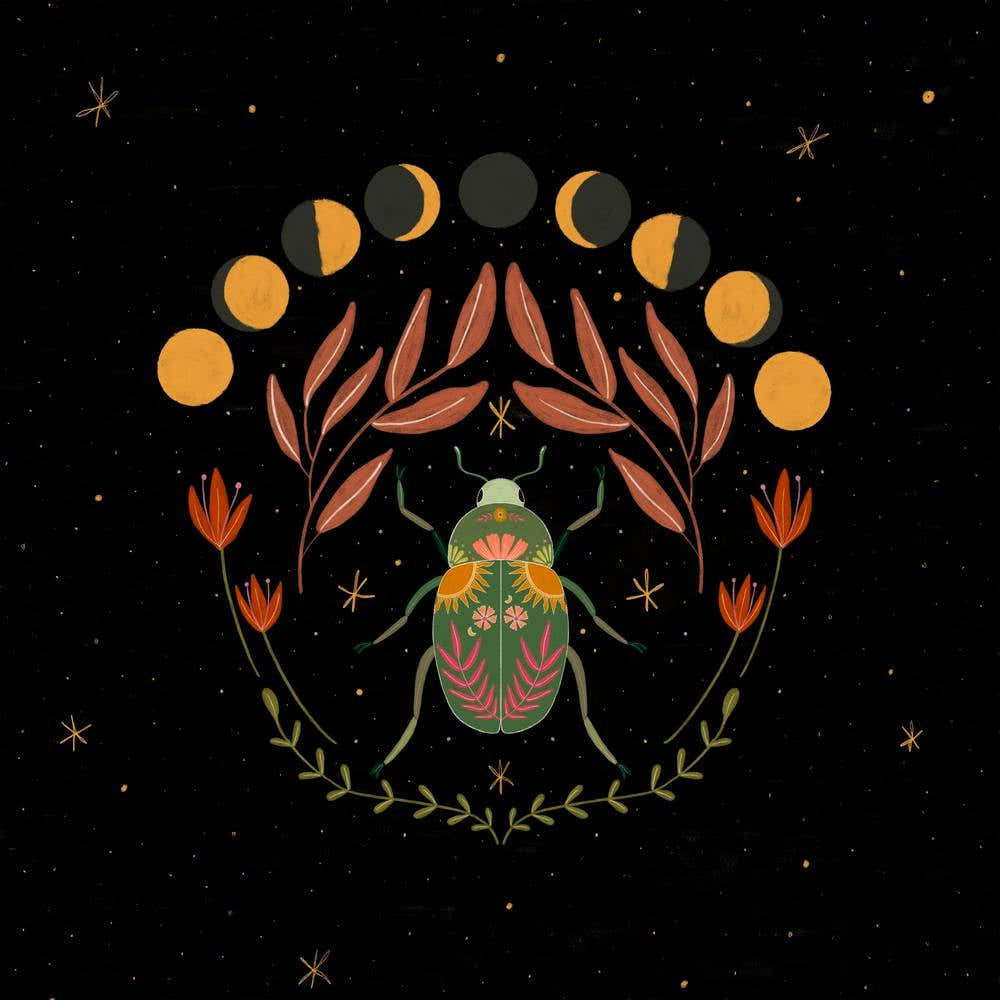 Spirit Animals Beetle