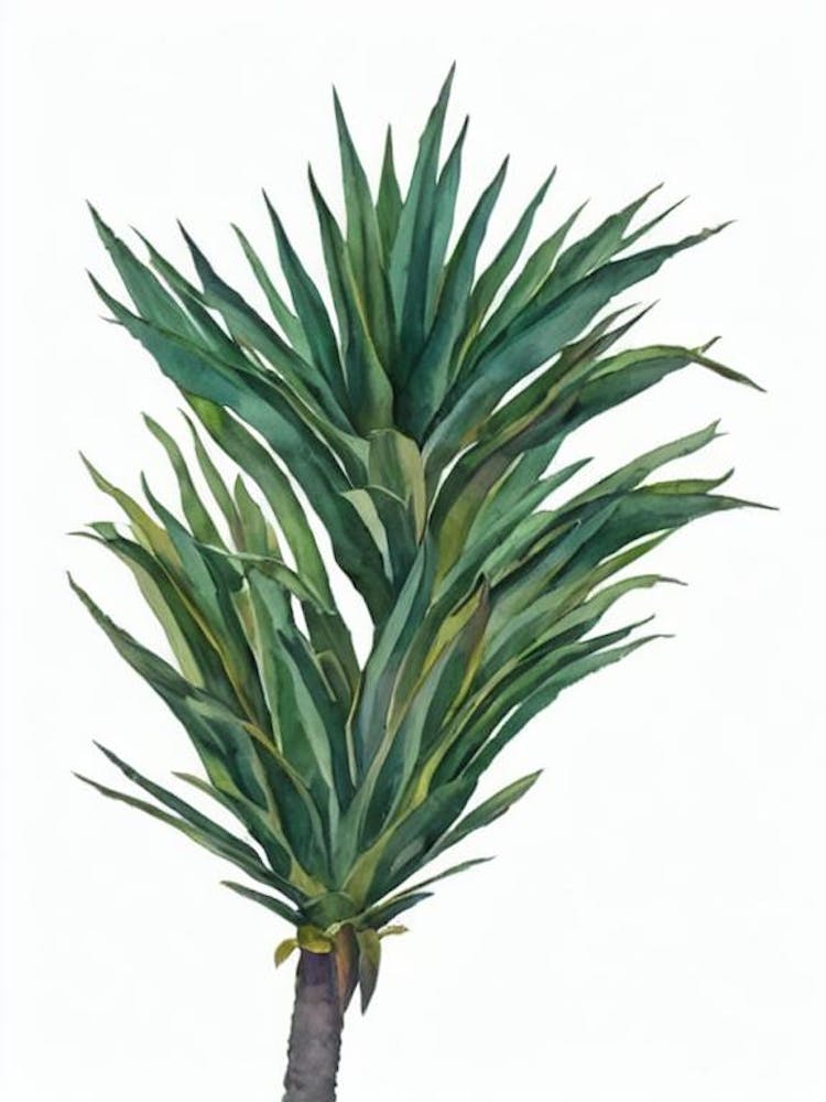 European Fan Palm (Chamaerops Humilis) Watercolor