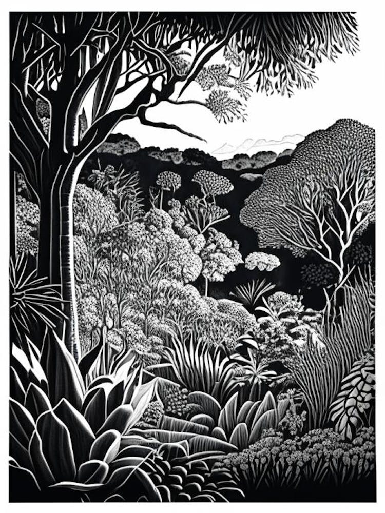 Kirstenbosch National Botanical Garden, 1, South Africa Linocut Black And White Vintage
