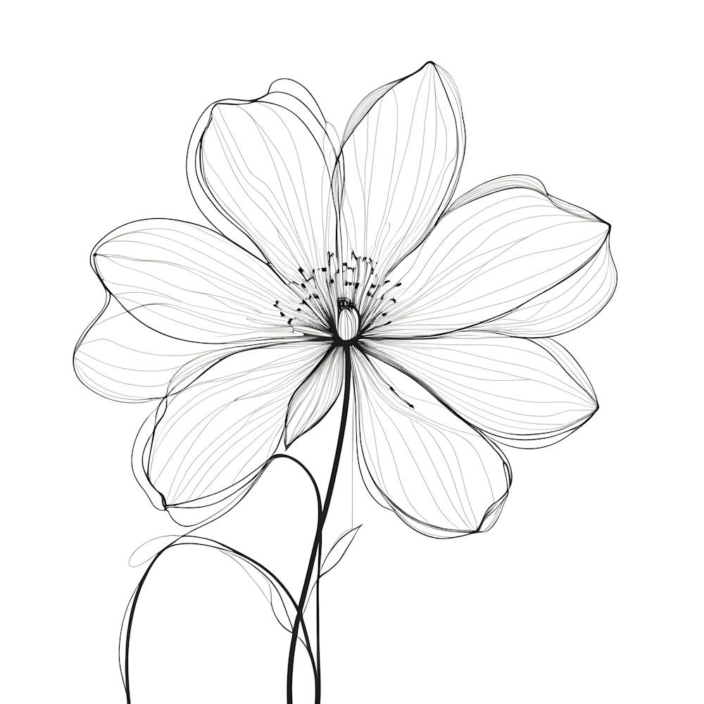 Flower Drawing 1