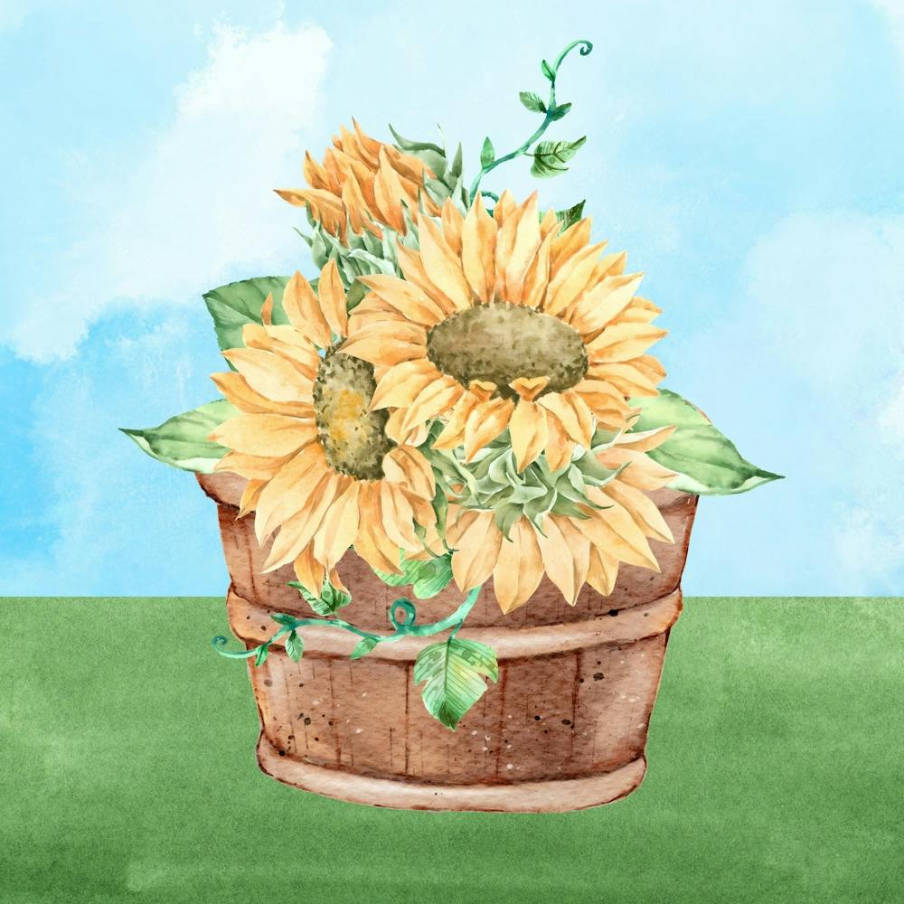 Sunflowers In A Basket