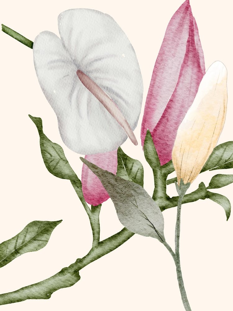 Calla lily and magnolias