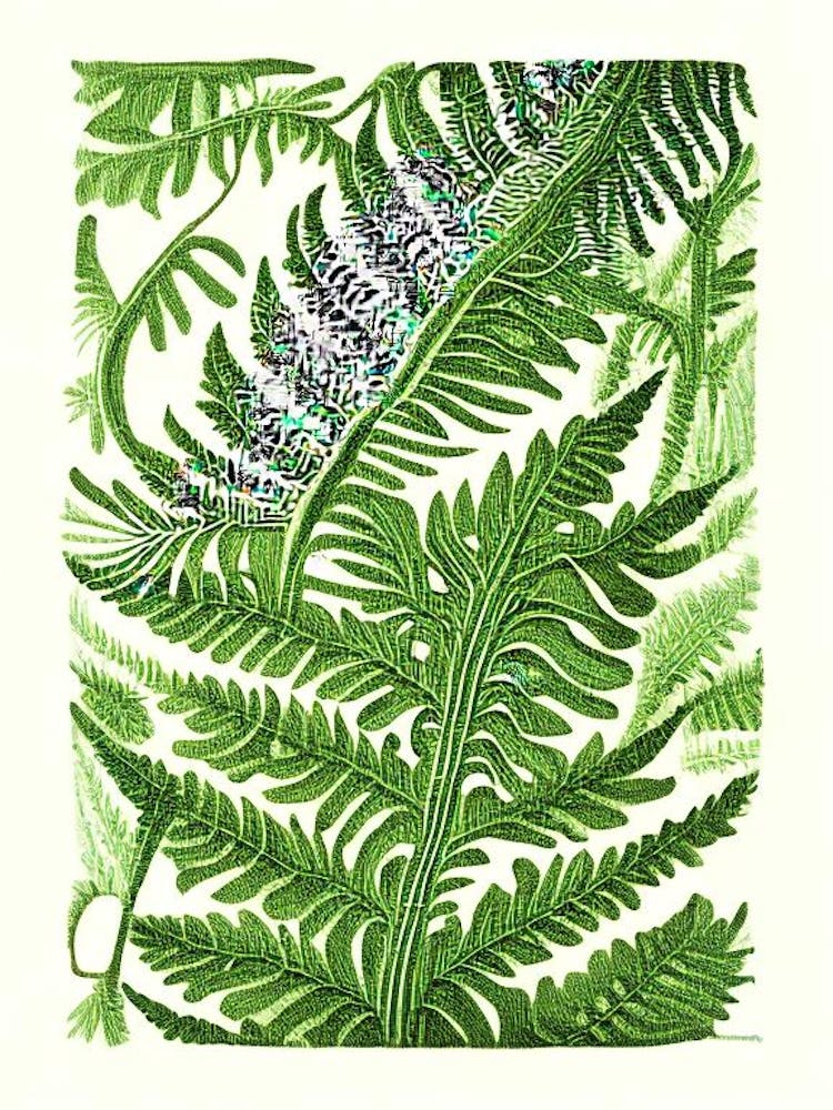 Pteris Farn 1 Vintage Botanisches Poster