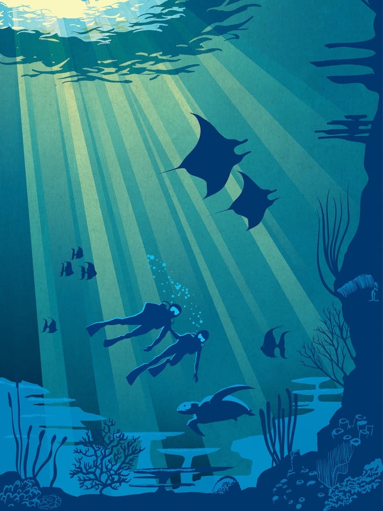 Scuba Dive