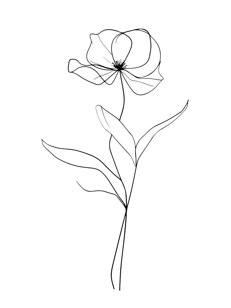Fleur Unique Art Linéaire Minimaliste Illustration Monoline