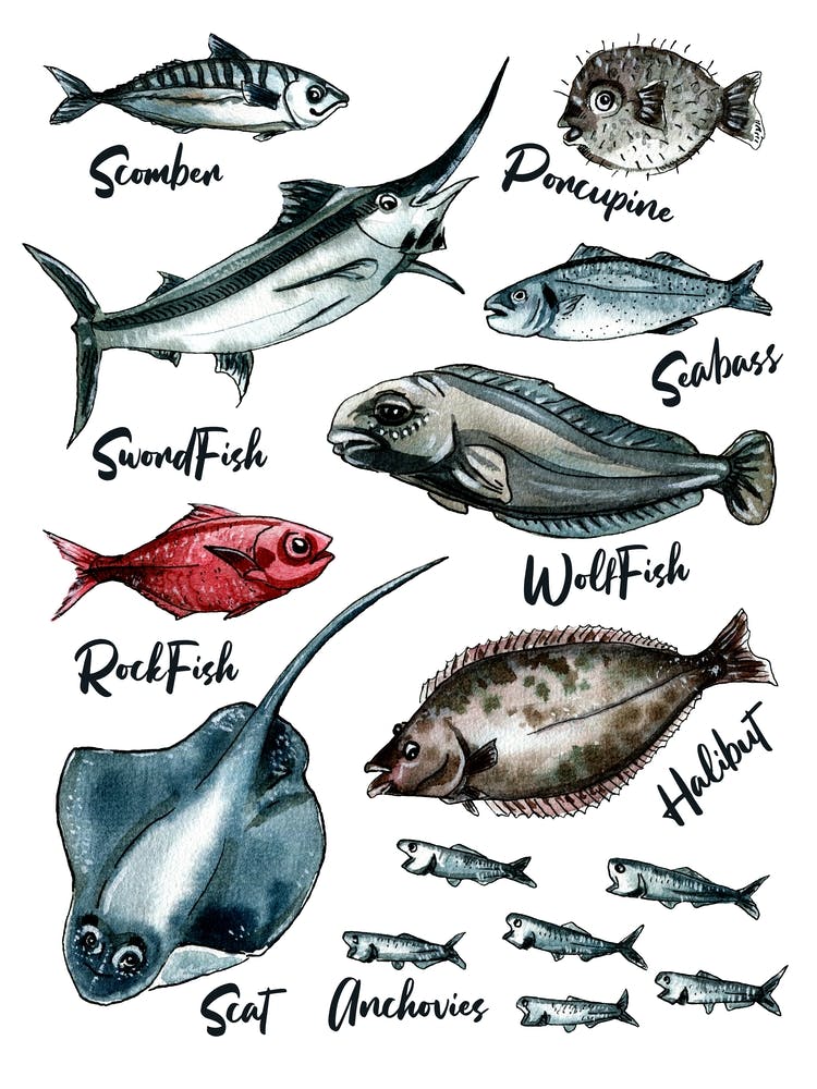 Watercolor Fishes