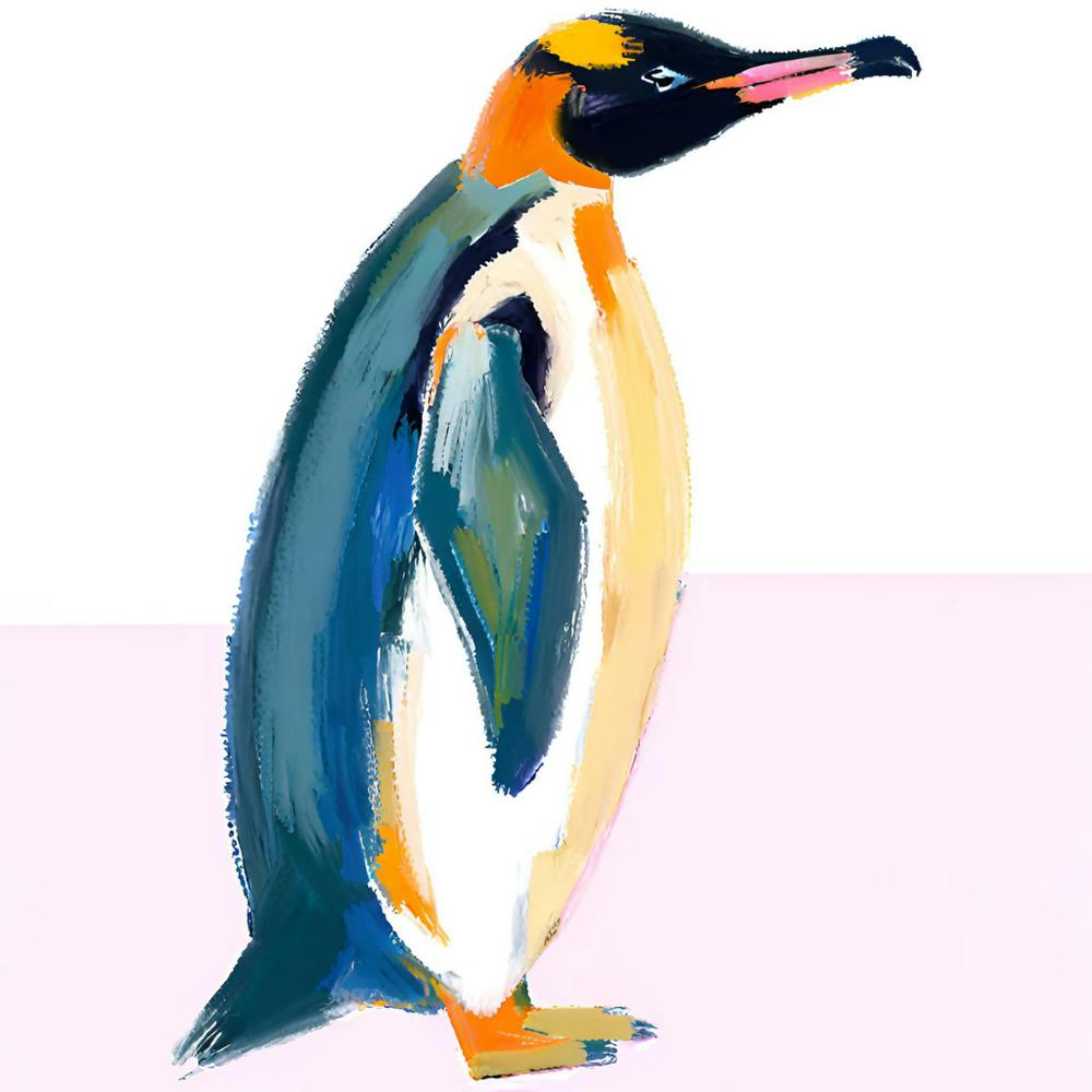 King Penguin 03