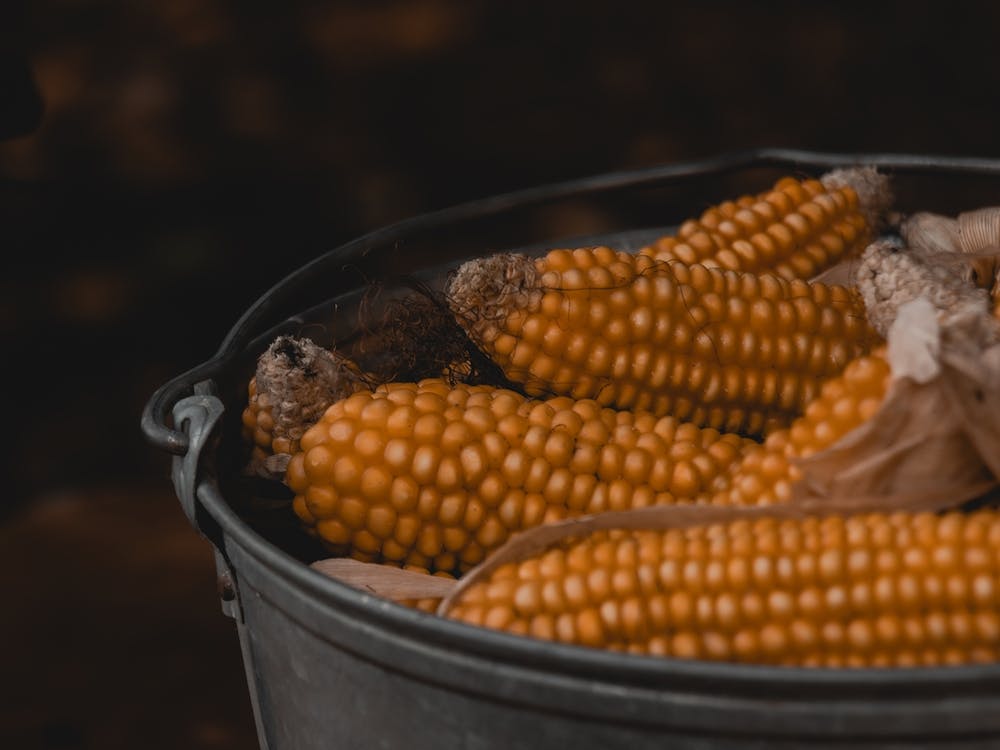 Corn On The Cob