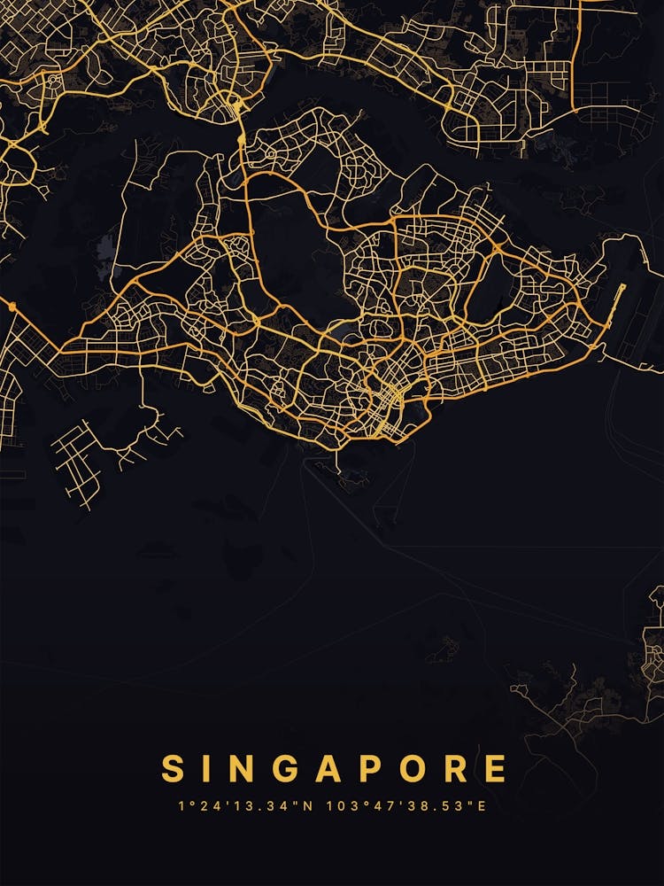 Singapore Black And Gold Map