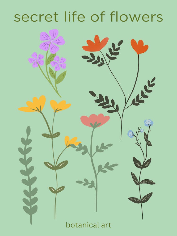Secret Life Of Flowers