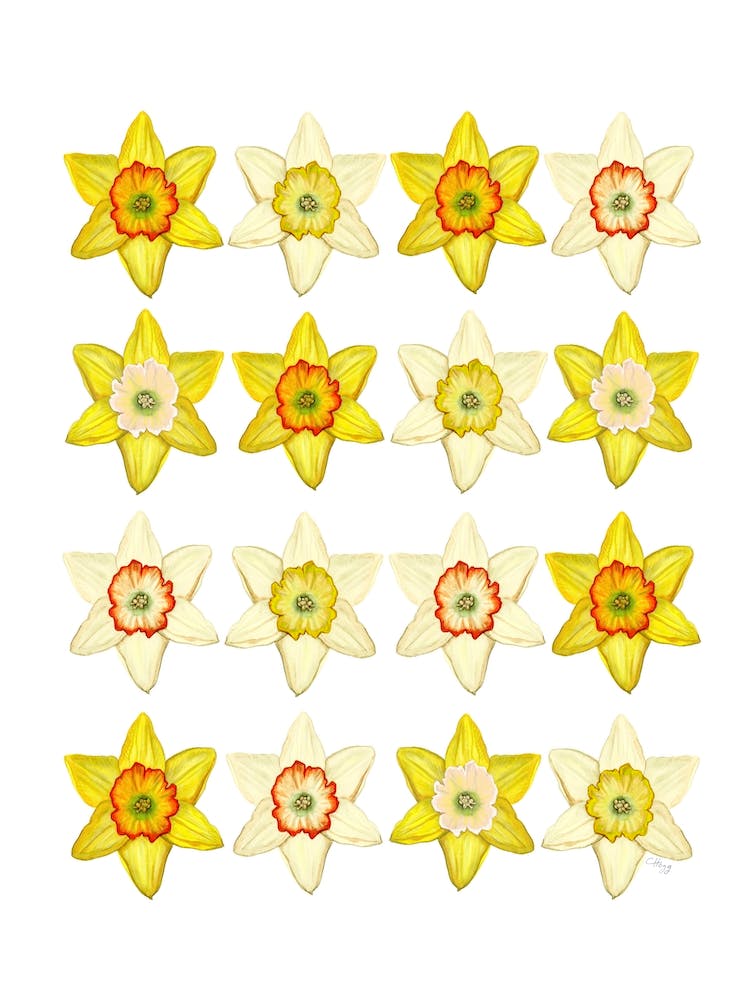 A Crowd Of Golden Daffoldils