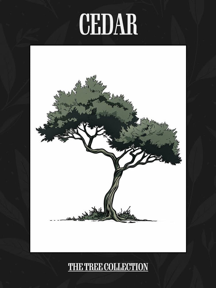 Cedar Tree Pixel Illustration 4 Poster