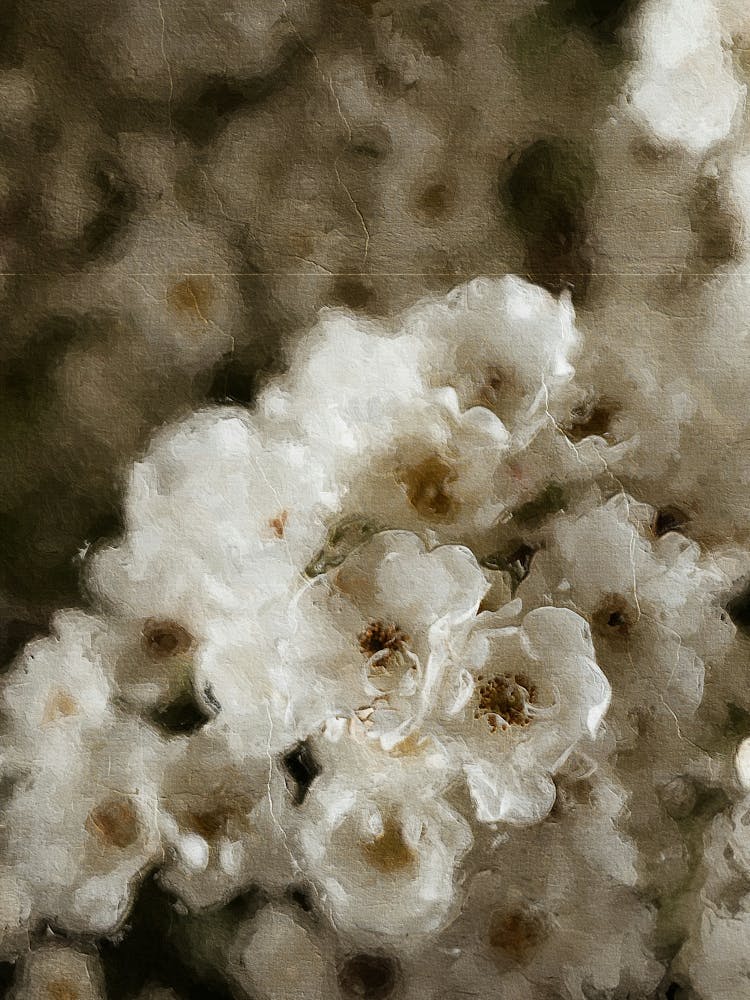 Beige Floral Oil Painting