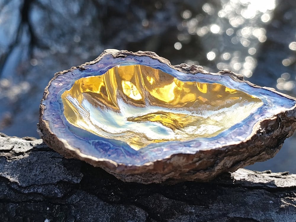 Une Coquille Recouverte d'Or