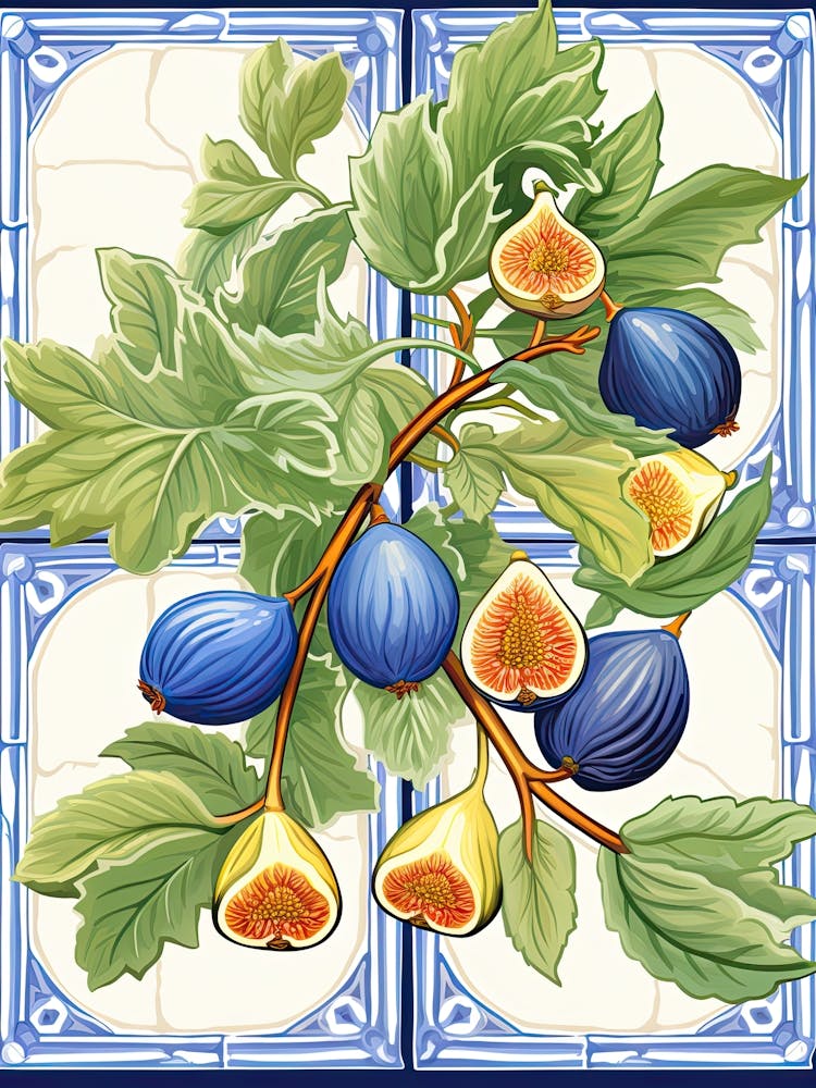 Figs Illustration 7