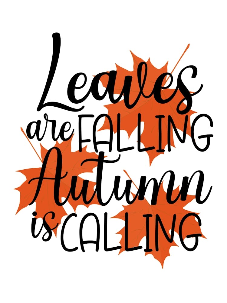 Leaves Are Falling Autumn Is Calling