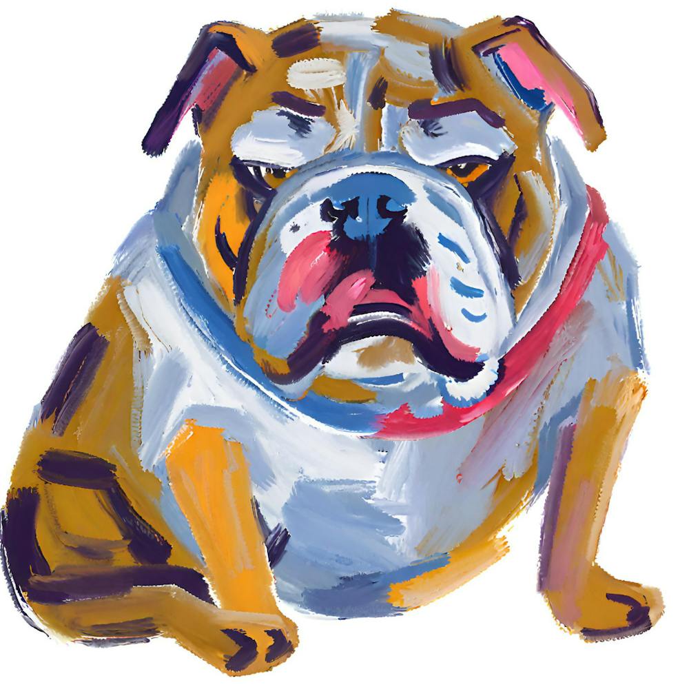 Bulldog 03