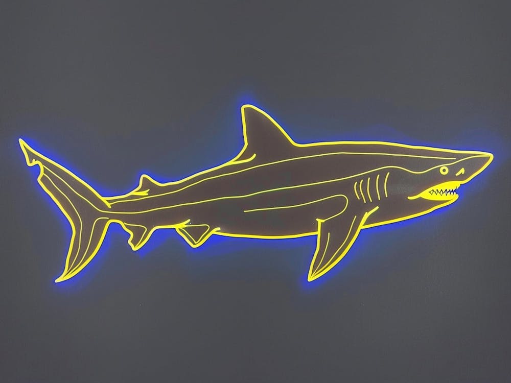 Neon Lemon Shark 5