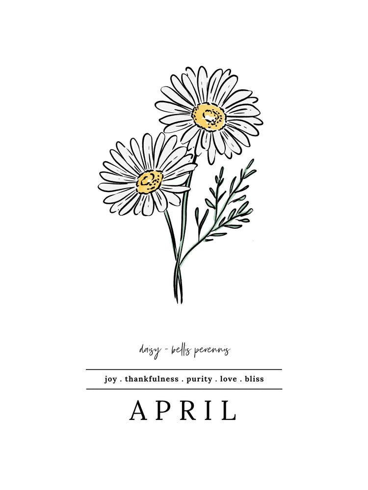 April Daisy Birth Flower 2