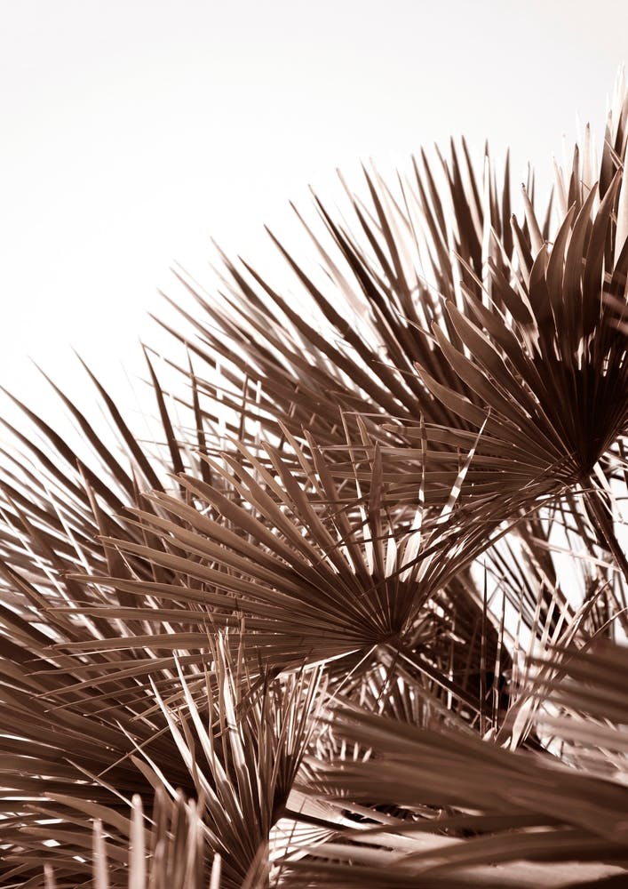 Gorgeous Golden Palm Leaves