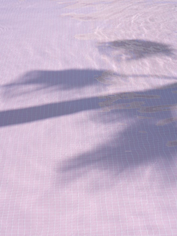 Pink Swimming Pool With Palmtree Shadow 2