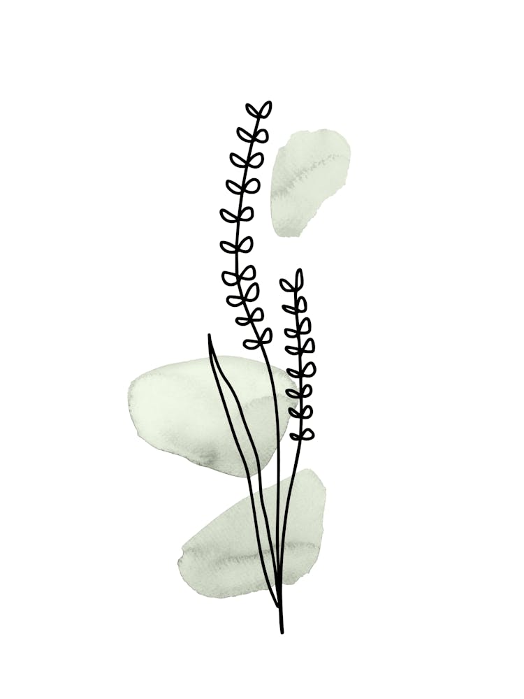 Botanical Line Art, Boho Minimalist in Sage Green, Watercolor