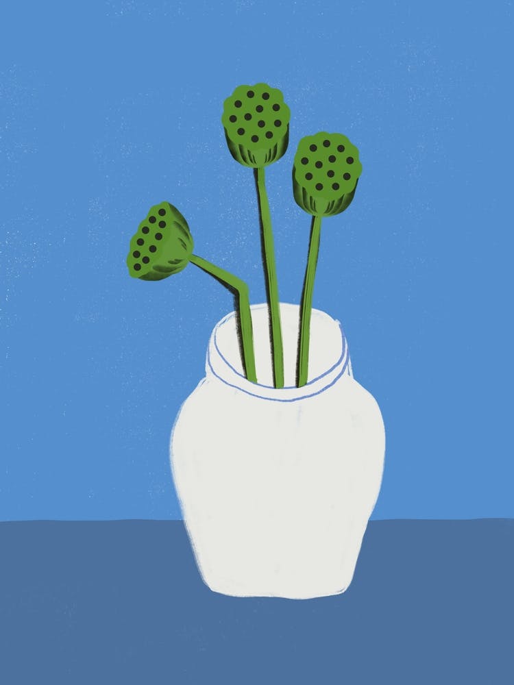 Dried lotus In A Vase