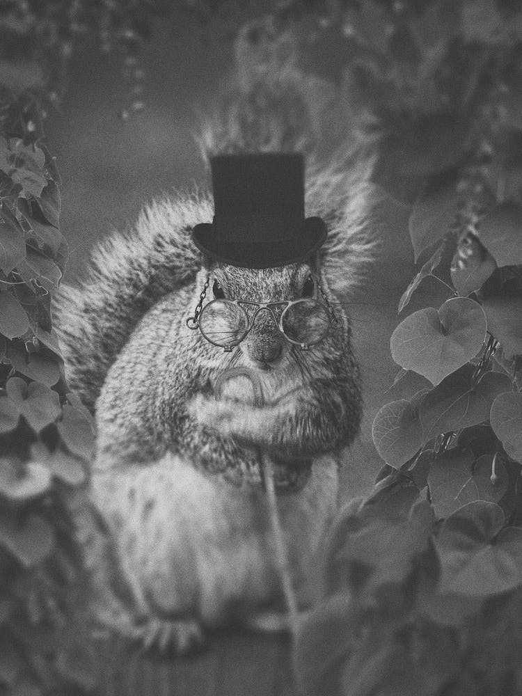 Nature's Fashion