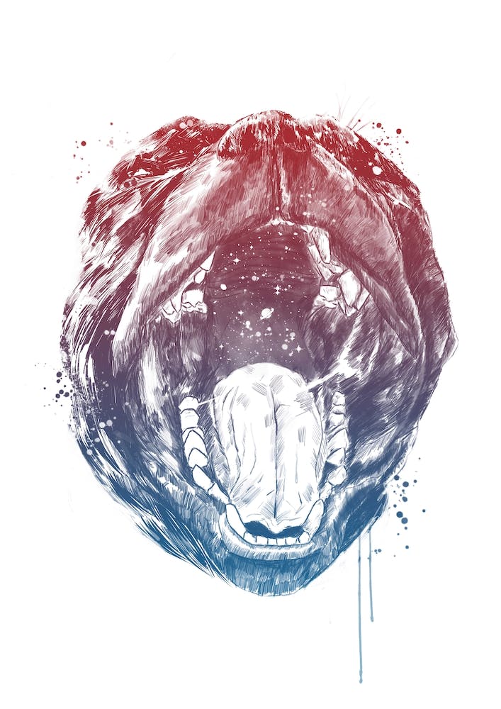 Birth Of The Universe