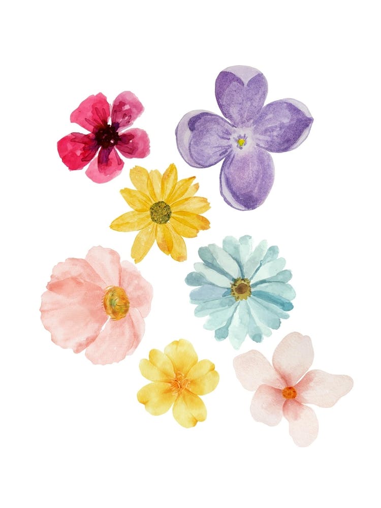 Watercolor Flowers 1