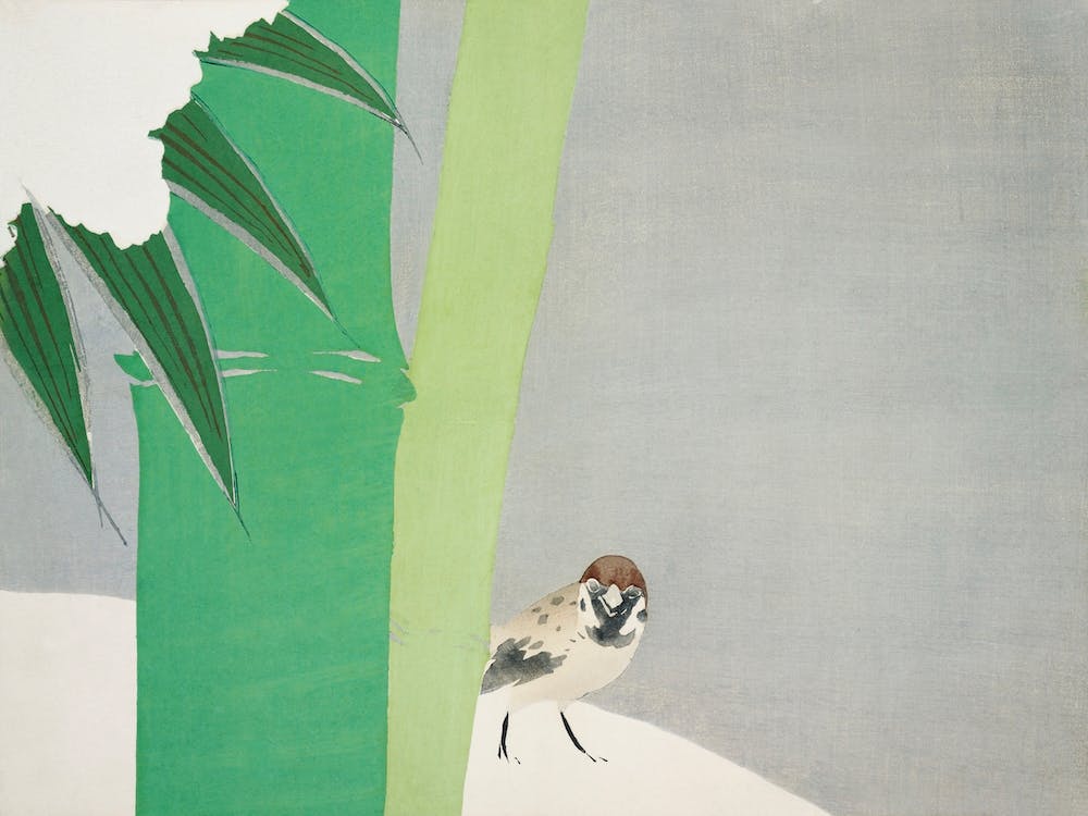 Sparrow From Momoyogusa –Flowers Of A Hundred Generations (1909), Kamisaka Sekka