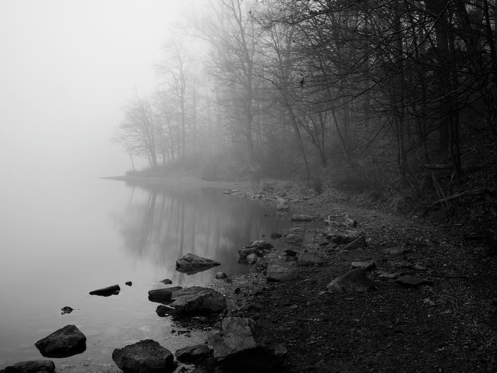 Foggy Lake