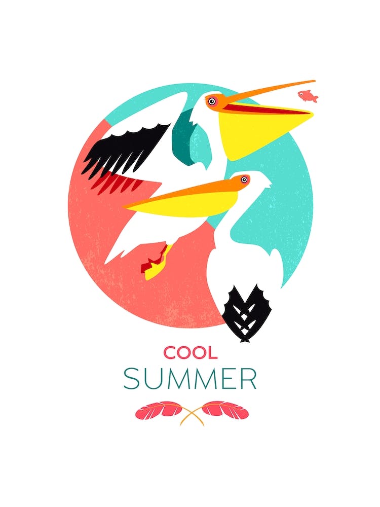 Summer Pelicans