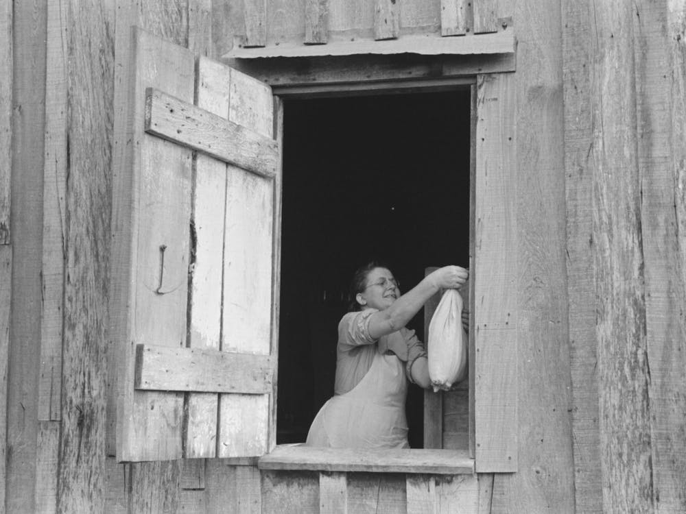 Wife Of Fsa (Farm Security Administration) Client Near Morganza, Louisiana Removing Bag Of Food From