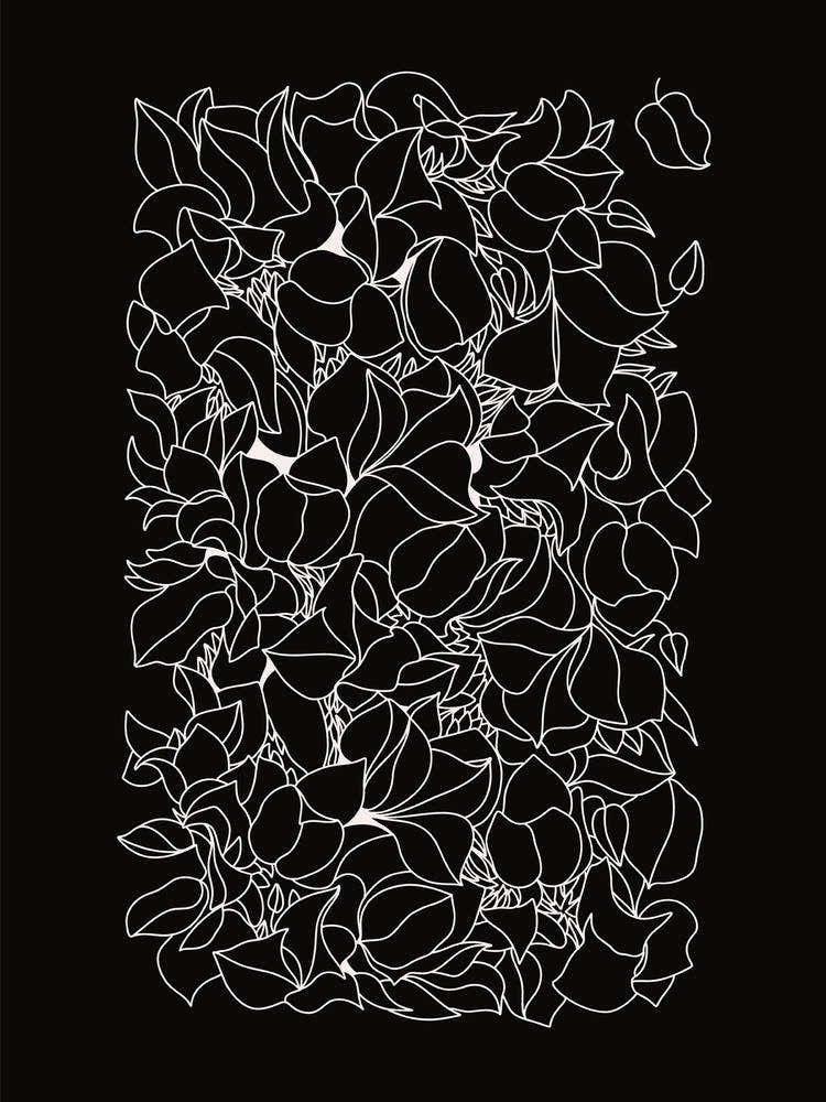 Bougainvillea linear art drawing