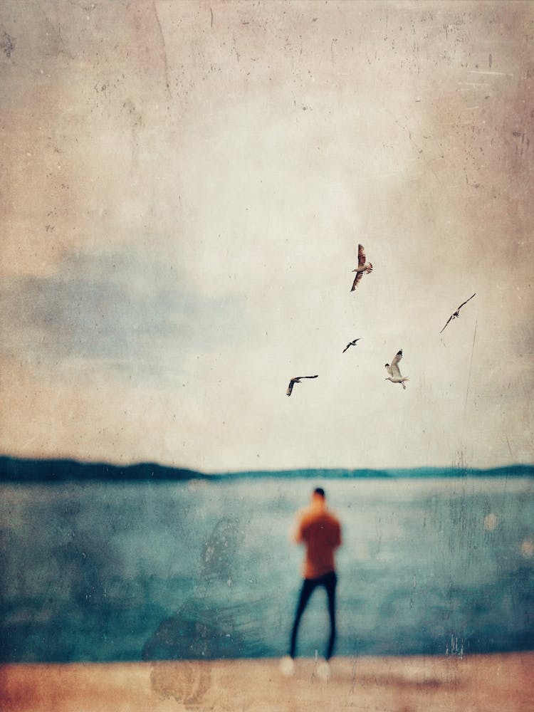 Flying Dreams