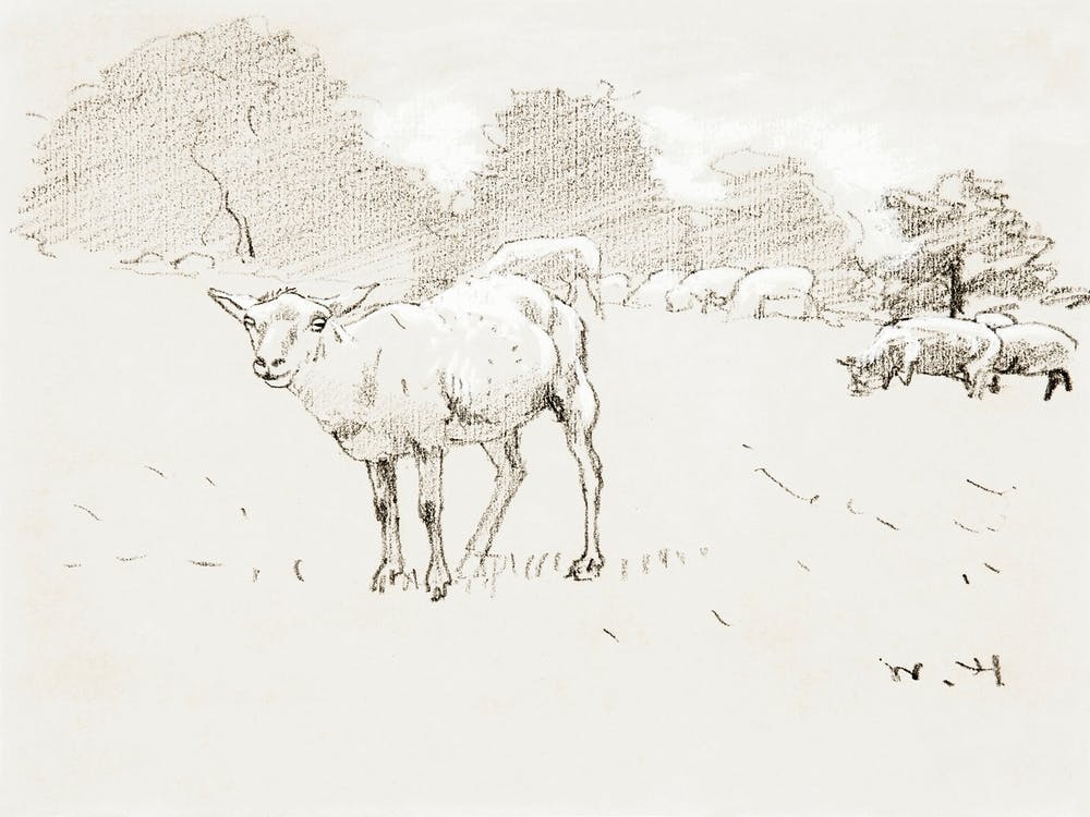 Sheep Grazing In A Field (1878), Winslow Homer