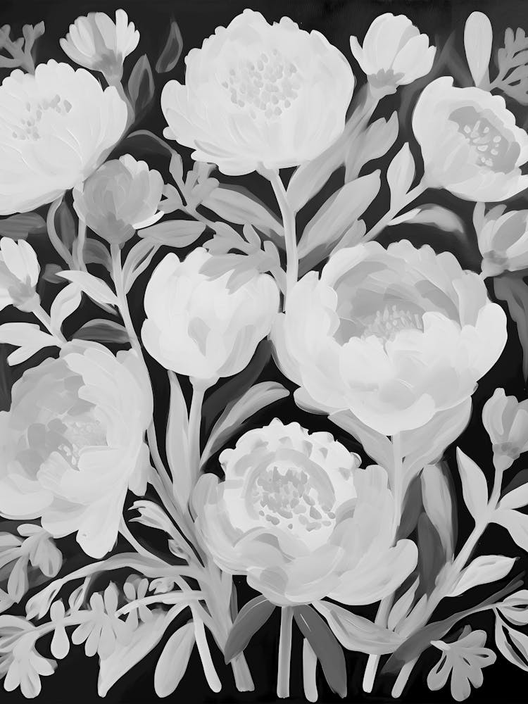 Black And White Peonies 1