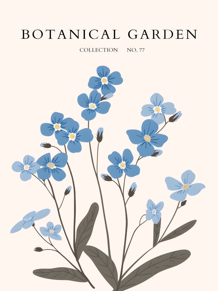 Botanical Garden 2