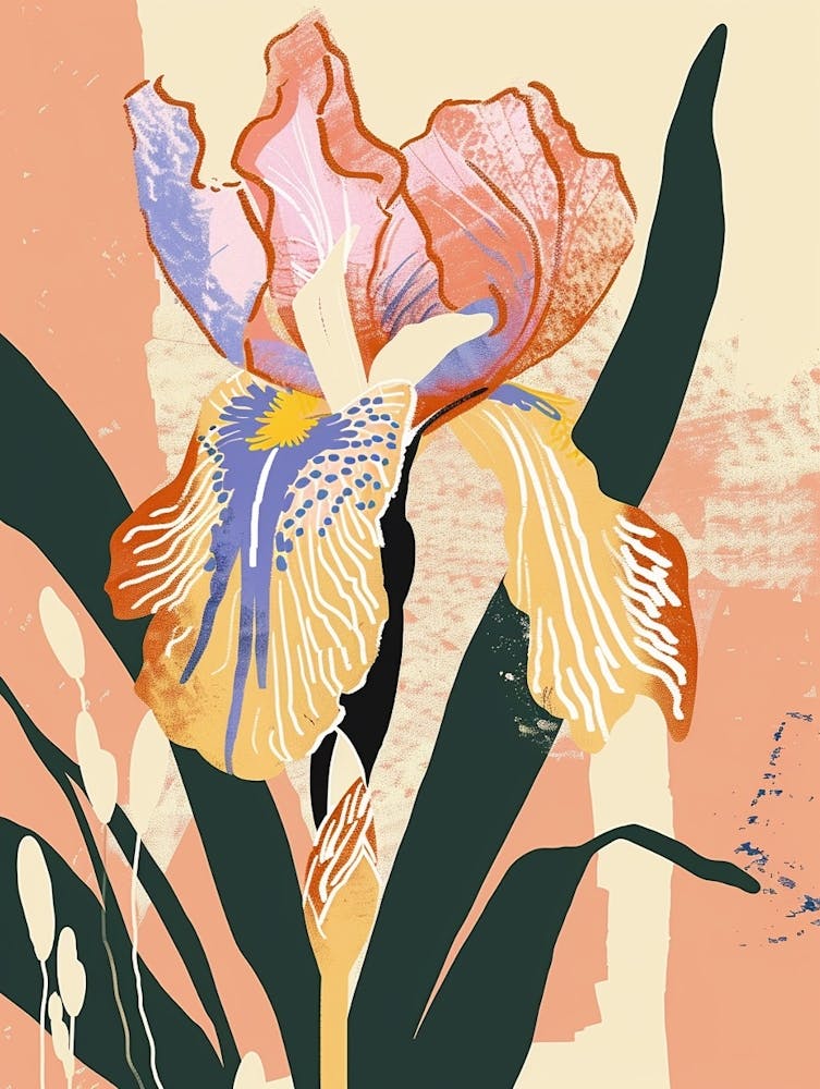Colourful Flower Illustration Iris 5