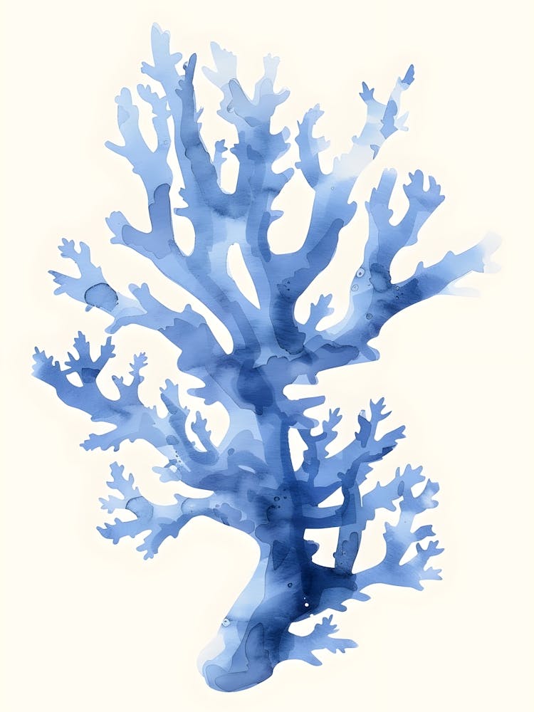Blue Coral 4