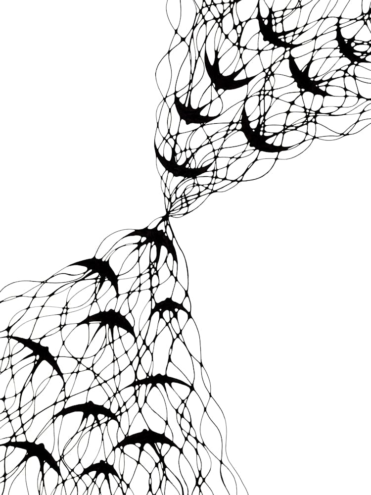 Abstract flock of fantasy birds / Hand Drawn / Black&White