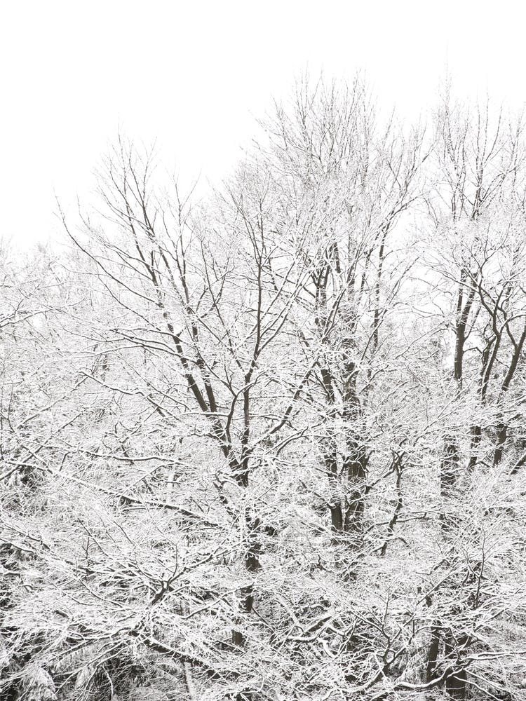 When Green Turns White