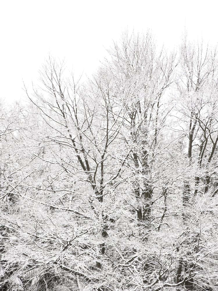 When Green Turns White