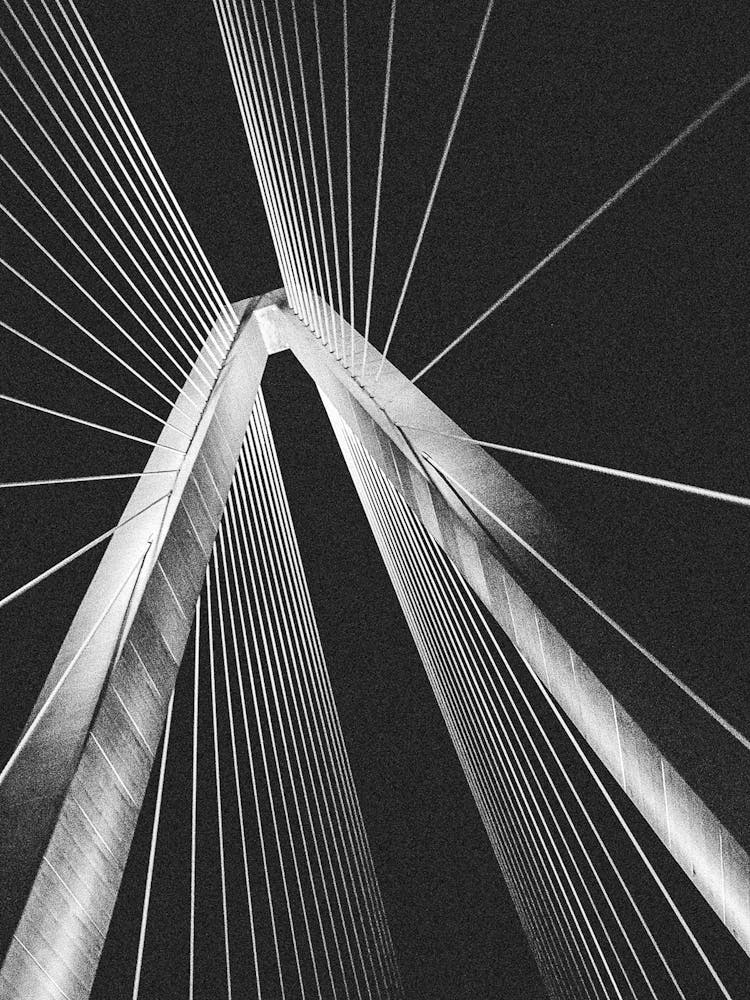 Ravenel Bridge