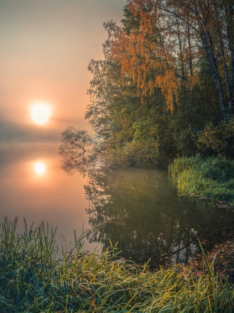 Foggy Fall Lake