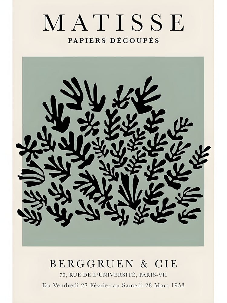 Matisse Papers De Découpes