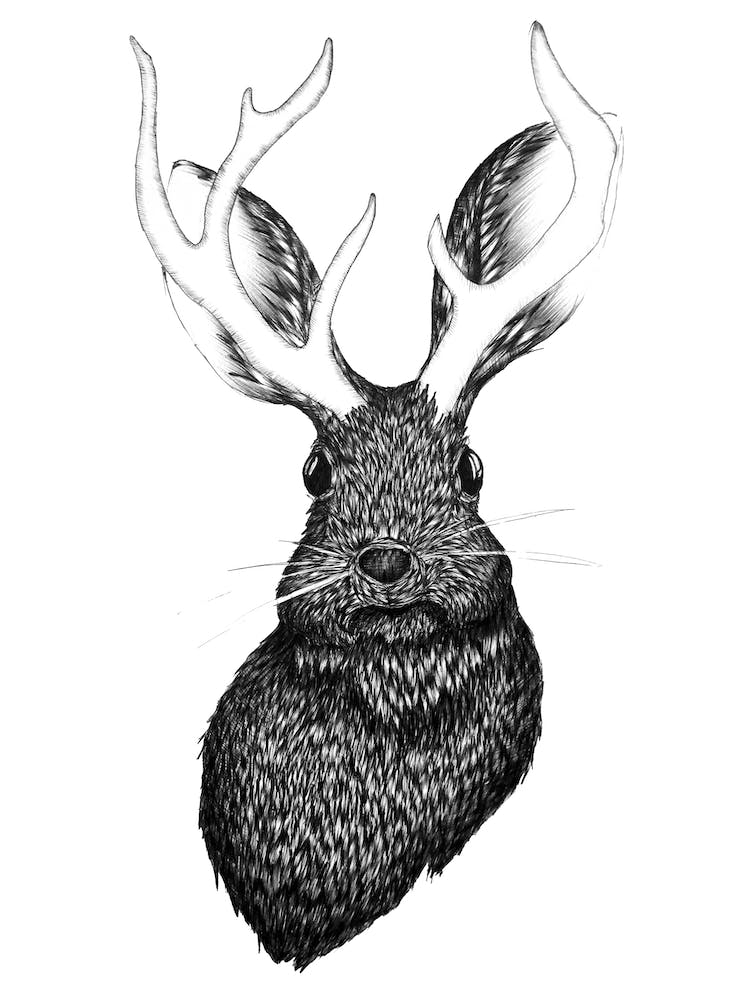 Jackalope