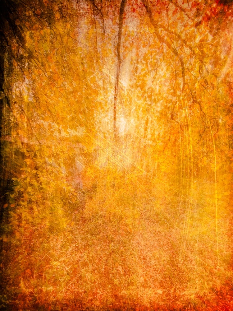 Impressions Of Autumn